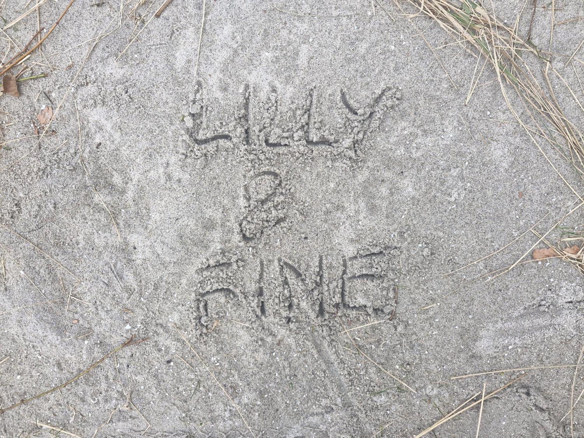 Lilly & Fine Apartman Zingst Kültér fotó