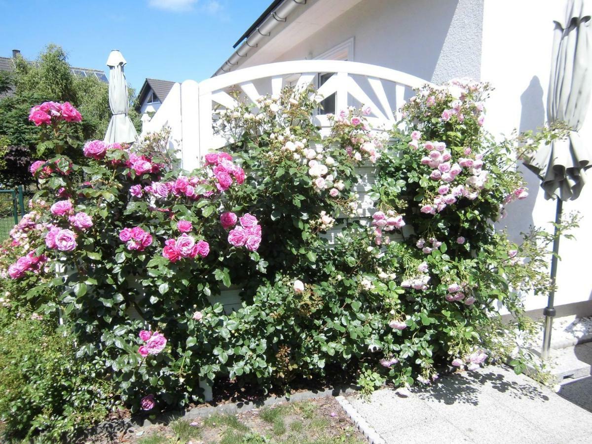 Lilly & Fine Apartman Zingst Kültér fotó